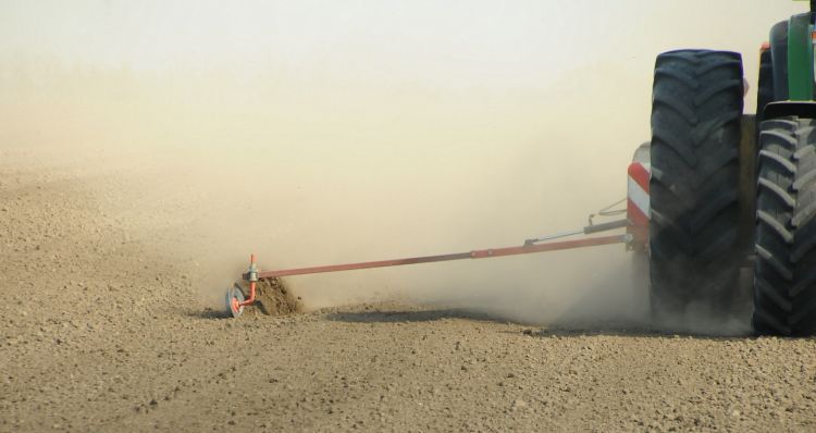 vetés porba szárazságban