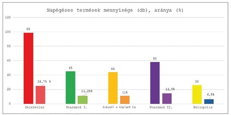 Napégett termések aránya különböző kezelések mellett