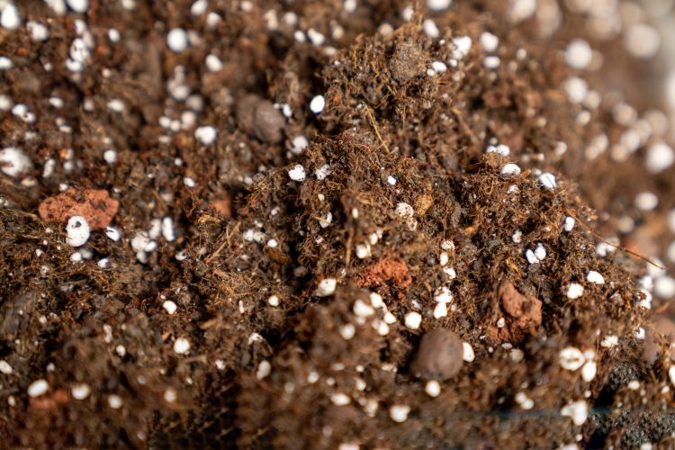 A növények a talajban lévő gravitációs és a kapillárisok által visszatartott vizet tudják hasznosítani