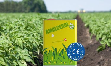 Amalgerol EU-engedélyes biostimulátor a mezőgazdaságban