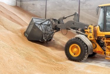 búza gabona raktár