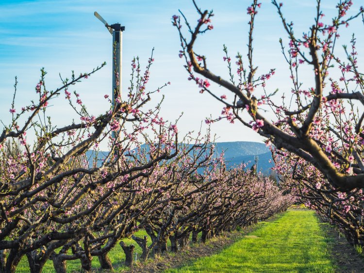 Ezt a pályázatot is túligényeltük