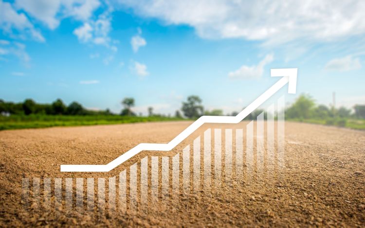 földbérleti díj szántó