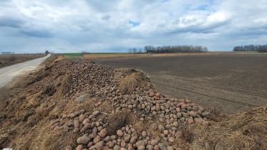 komposzt termőföld