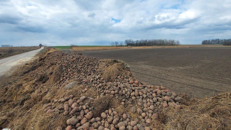 komposzt termőföld
