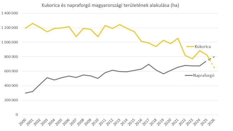 napraforgó kukorica területe Magyarországon