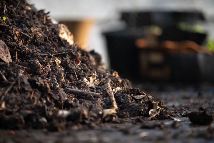 A talaj élőlényei a gondos gazda legfontosabb szövetségesei