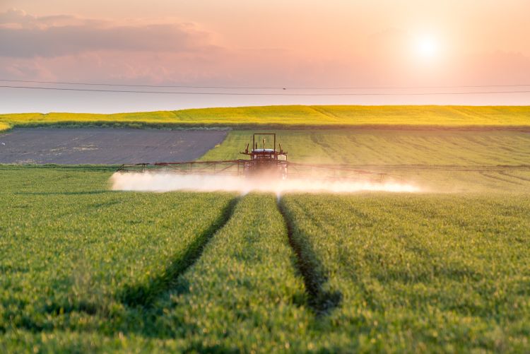 növényvédelem permetezéssel