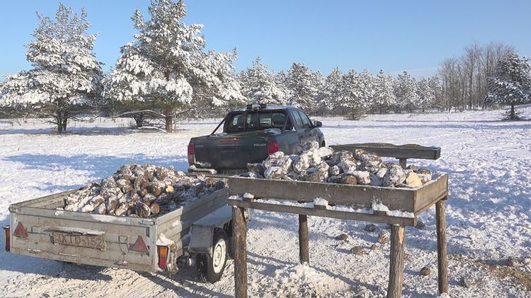 A vadak életét mentheti a kemény télben az etetés