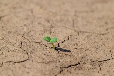 Aszály sújtotta mezőgazdasági talaj