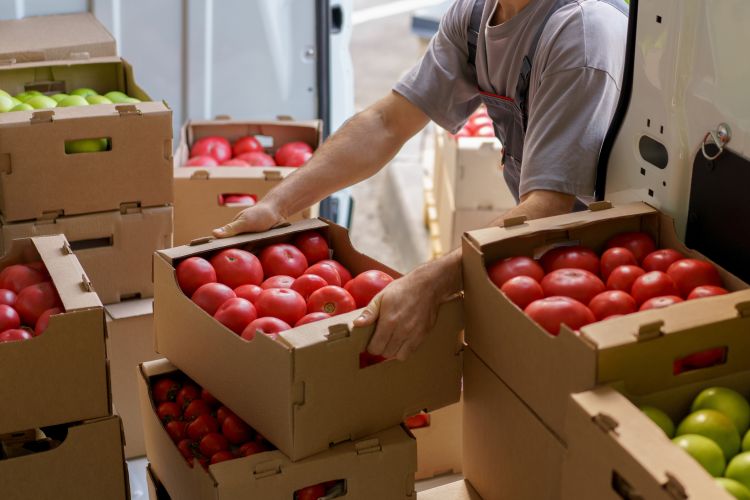 Ukrán paradicsomexport a régióban