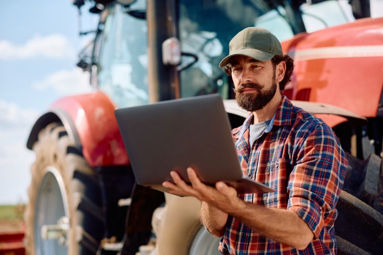 Gazda laptopon intéz ügyet