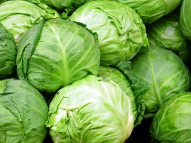 Fejeskáposzta ára mélyponton