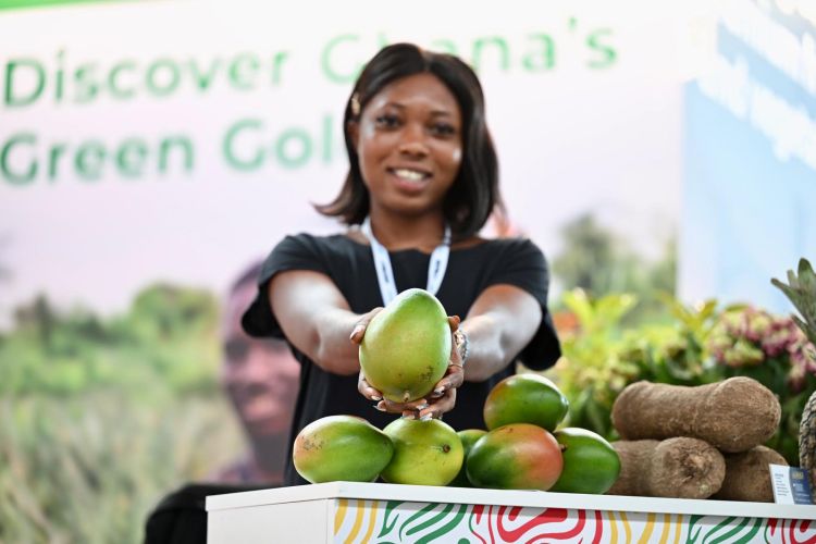 Mangó a Macfrut standján