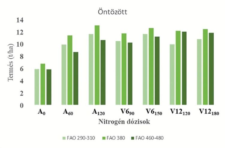 Nitrogén dózisok hatása öntözöttben