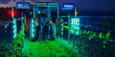 UV-C besugárzás növényvédelemben szőlőültetvényben