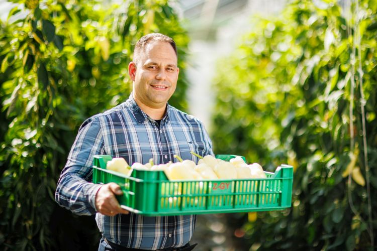 Nagypéter Sándor a DélKerTÉSZ elnök-ügyvezetője