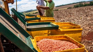 szója vetése vetőgéppel