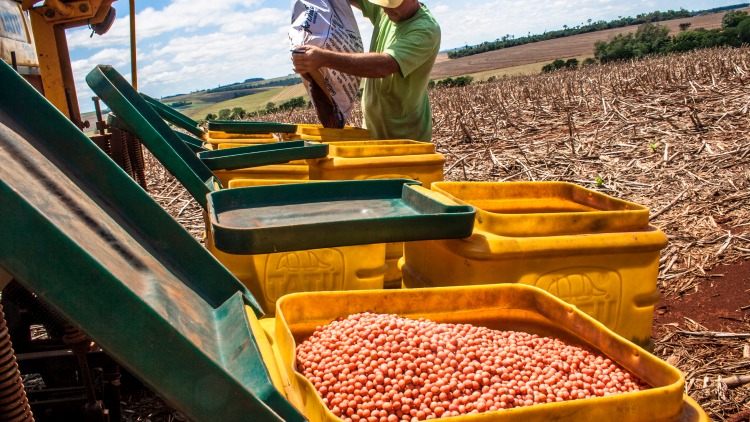 szója vetése vetőgéppel