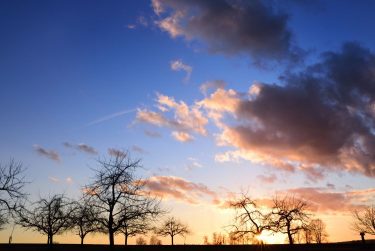 Korai tavasz a határban