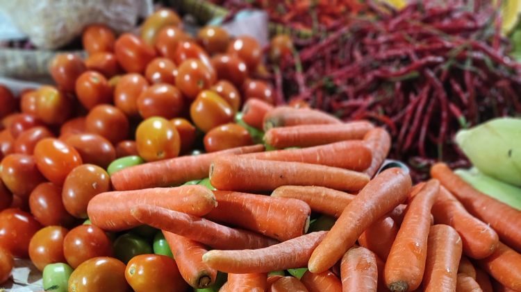 Szántóföldi zöldségtermesztés 2025 mérlege