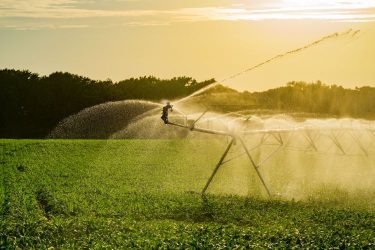 Körforgó öntözés naplementében