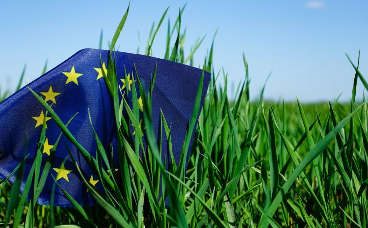 Uniós földárak emelkedése 2024