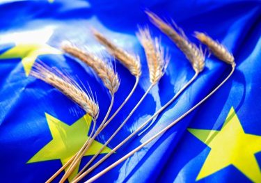 EU agrárpiac és gabona