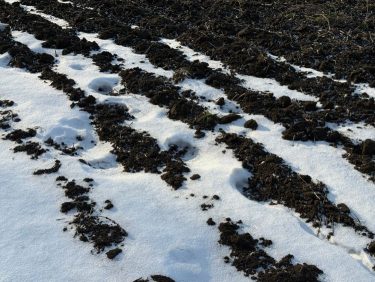 Tömörödött talaj hó alatt