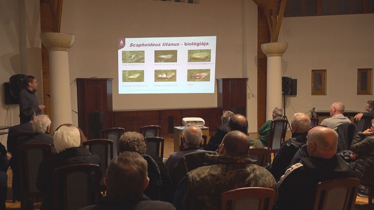 Gyorskukorica, rézhasználat, pályázatok a Téli Gazdaestéken