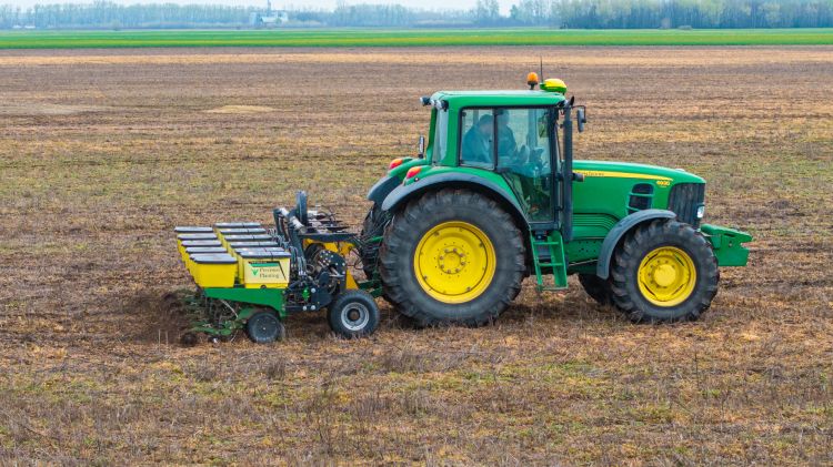 No-till vetés napraforgó alá