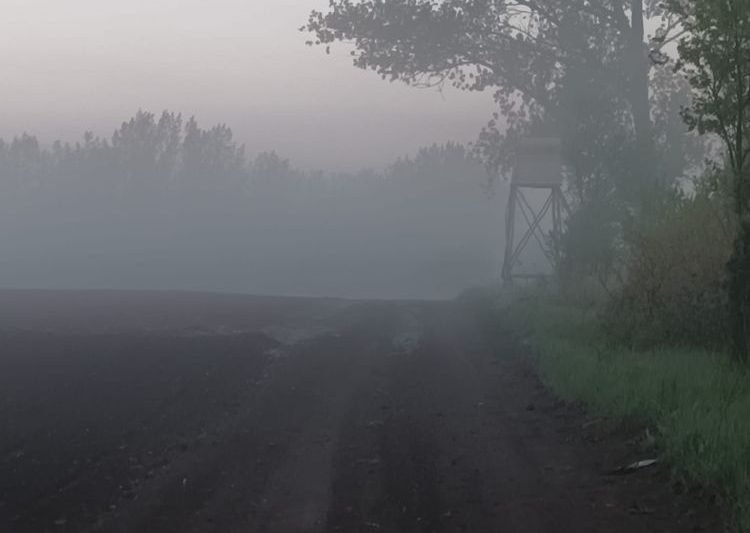 Gazda és vadász közös egyeztetés