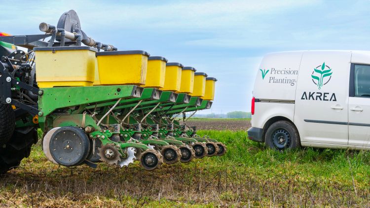 Takarónövény mulcs no-tillben