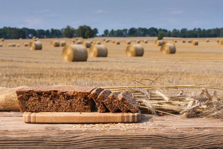 Gabonatermesztés és élelmiszerlánc