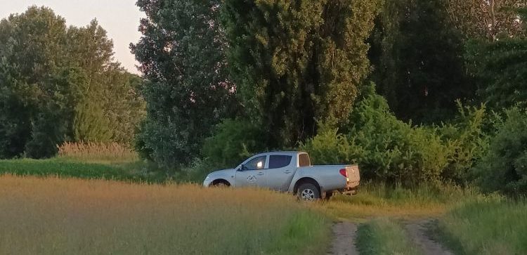 Vadkár nyomai szántóföldön