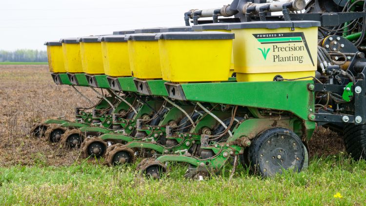 Napraforgó aszályban Homokhátságon