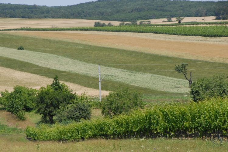 Vízmegtartás vizes élőhely támogatással