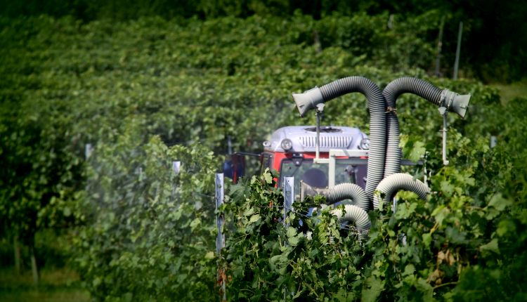  Permetezőgépes növényvédelem szőlőültetvényben
