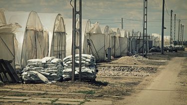 a gazdák erőfeszítései tartják működésben az ágazatot