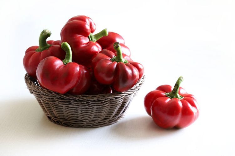 Pritaminpaprika szabadföldi termesztésben