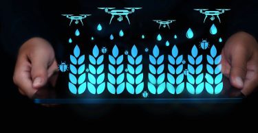 Mesterséges intelligencia a mezőgazdaságban