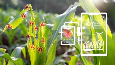 Precíziós permetezés szakaszolással