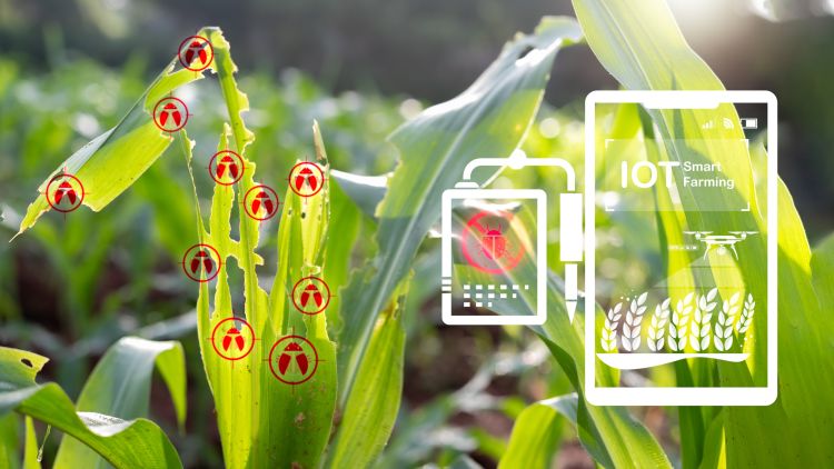 Precíziós permetezés szakaszolással