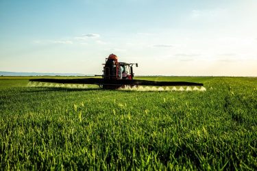Szántóföldi permetezés kalászos állományban