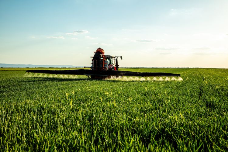 Szántóföldi permetezés kalászos állományban