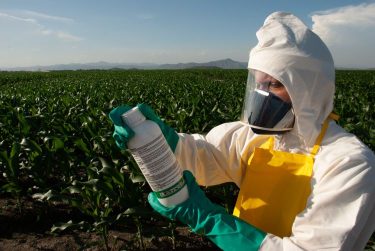 Védőruhában ellenőrzi a permetszert