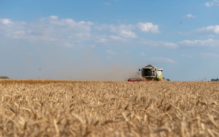 Válságálló mezőgazdaság a gyakorlatban
