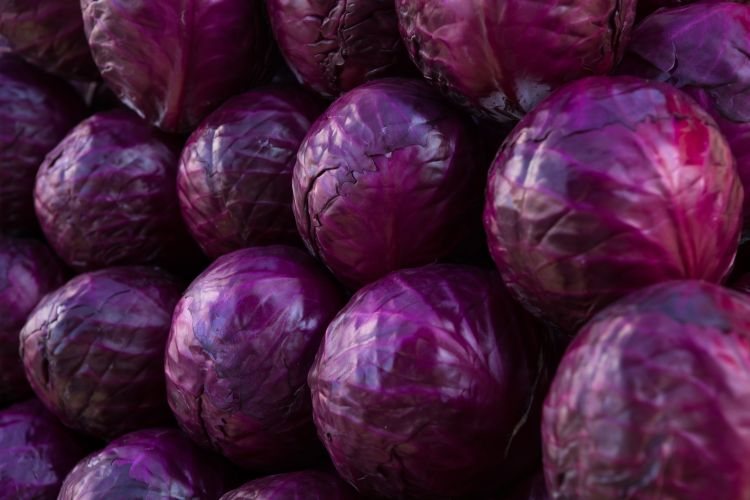 Friss vöröskáposzta a piacon