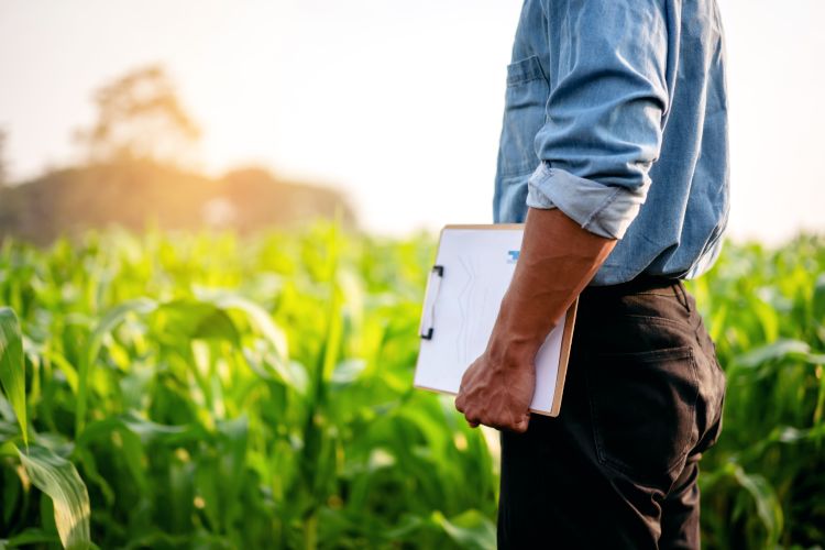 Kárbejelentés előtt álló gazda