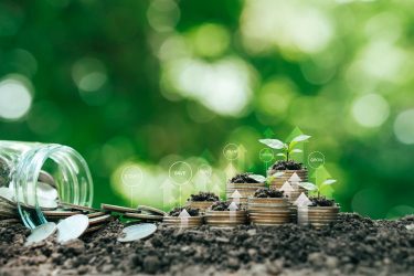 Agrártámogatás segíti a növekedést